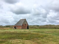 NL, Noord-Holland, Texel 41, Saxifraga-Bart Vastenhouw