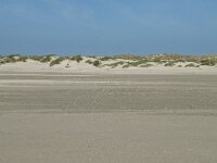 NL, Noord-Holland, Texel, De Hors 22, Saxifraga-Willem van Kruijsbergen