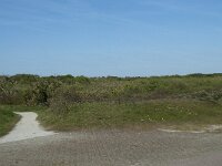 NL, Noord-Holland, Texel, De Horsmeertjes 15, Saxifraga-Willem van Kruijsbergen