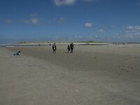 NL, Noord-Holland, Texel, De Slufter 54, Saxifraga-Willem van Kruijsbergen