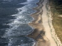 NL, Noord-Holland, Texel, Noordzee 2, Saxifraga-Foto Fitis-Sytske Dijksen