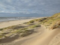 NL, Noord-Holland, Texel, Paal 12 16, Saxifraga-Foto Fitis-Sytske Dijksen