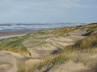 NL, Noord-Holland, Texel, Paal 12 24, Saxifraga-Foto Fitis-Sytske Dijksen