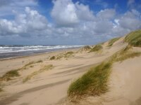 NL, Noord-Holland, Texel, Paal 14 6, Saxifraga-Foto Fitis-Sytske Dijksen