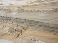 NL, Noord-Holland, Texel, Paal 16 8, Saxifraga-Foto Fitis-Sytske Dijksen