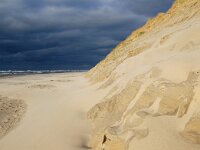 NL, Noord-Holland, Texel, Paal 9 59, Saxifraga-Foto Fitis-Sytske Dijksen