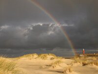 NL, Noord-Holland, Texel, Vuurtoren 11, Saxifraga-Foto Fitis-Sytske Dijksen