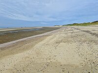 Almost deserted sandy beach; Burgh-Haamstede, Zeeland, Netherlands  Almost deserted sandy beach; Burgh-Haamstede, Zeeland, Netherlands : dunes, summer, summertime, spring, springtime, sand, sandy, Westenschouwen, Burgh-Haamstede, Schouwen Duiveland, Zeeland, Holland, Netherlands, Dutch, Europe, European, nature, natural, rural, landscape, rural landscape, rural scene, non-urban landscape, non-urban scene, outside, outdoor, outdoors, beach, sea, north sea, shell, shells, many, coast, coastline