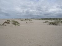 NL, Zuid-Holland, Westland, Monster 7, Saxifraga-Willem van Kruijsbergen