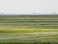 D, Schleswig-Holstein, Hallig Hamburg 3, Foto Fitis-Sytske Dijksen