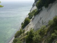 DK, Sjaelland, Vordingborg, Moens Klint North 10, Saxifraga-Jan van der Straaten