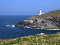 GB, Cornwall, Padstow, SW Coastpath, Trevose Head 2, Saxifraga-Foto Fitis-Sytske Dijksen