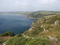 GB, Cornwall, Truro, SW Coastpath, Portloe Nare Head 2, Saxifraga-Foto Fitis-Sytske Dijksen