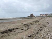 F, Pas-de-Calais, Ambleteuse 40, Saxifraga-Willem van Kruijsbergen