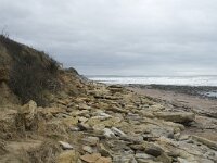 F, Pas-de-Calais, Ambleteuse 53, Saxifraga-Willem van Kruijsbergen