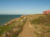 F, Pas-de-Calais, Audresselles 21, Saxifraga-Jan van der Straaten