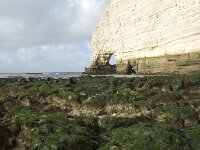 F, Seine-Maritime, Etretat 30, Saxifraga-Willem van Kruijsbergen