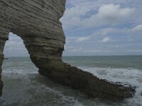 F, Seine-Maritime, Etretat, Porte d Amont 6, Saxifraga-Willem van Kruijsbergen