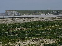F, Seine-Maritime, Veulettes-sur-Mer 17, Saxifraga-Willem van Kruijsbergen