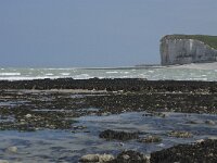 F, Seine-Maritime, Veulettes-sur-Mer 8, Saxifraga-Willem van Kruijsbergen