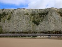 F, Pas-de-Calais, Escalles, Cap Blanc Nez 14, Saxifraga-Foto Fitis-Sytske Dijksen