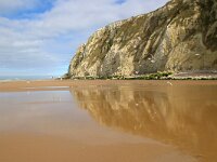 F, Pas-de-Calais, Escalles, Cap Blanc Nez 18, Saxifraga-Foto Fitis-Sytske Dijksen