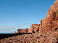 D, Schleswig-Holstein, Helgoland 11, Saxifraga-Bart Vastenhouw