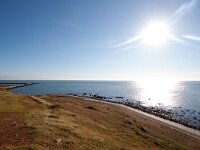 D, Schleswig-Holstein, Helgoland 9, Saxifraga-Bart Vastenhouw