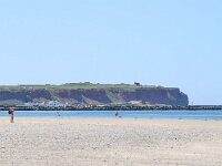 D, Schleswig-Holstein, Helgoland, Duene 1, Saxifraga-Bart Vastenhouw