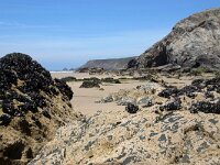 GB, Cornwall, Porthtowan 6, Saxifraga-Foto Fitis- Sytske Dijksen