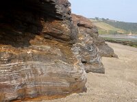 GB, Cornwall, Veryan, Carne Beach 4, Saxifraga-Foto Fitis- Sytske Dijksen