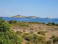 GR, Lesvos, Lesvos, Palios 1,Saxifraga-Theo Verstrael