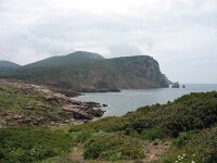 I, Sardegna, Orosei, Cala Viola 1, Saxifraga-Kees Laarhoven : voorjaar 2010