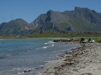 N, Nordland, Flakstad, Fredvang 18, Saxifraga-Jan van der Straaten
