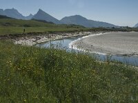 N, Nordland, Flakstad, Fredvang 5, Saxifraga-Jan van der Straaten