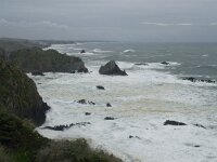 P, Beja, Odemira, Azenha do Mar 5, Saxifraga-Willem van Kruijsbergen