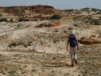 P, Beja, Odemira, Zambujeira 6, Saxifraga-Jan van der Straaten