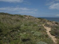 P, Faro, Aljezur, Carrapateira 167, Saxifraga-Willem van Kruijsbergen