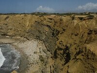 P, Faro, Aljezur, Carrapateira 19, Saxifraga-Jan van der Straaten