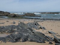 P, Faro, Rogil, Praia do Vale dos Homens 6, Saxifraga-Willem van Kruijsbergen
