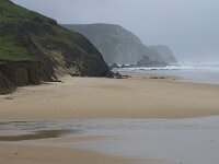 P, Faro, Vila do Bispo, Praia da Cordoama 3, Saxifraga-Willem van Kruijsbergen