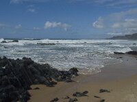 P, Faro, Vila do Bispo, Praia da Cordoama 93, Saxifraga-Willem van Kruijsbergen