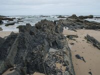 P, Faro, Vila do Bispo, Praia de Castelejo 96, Saxifraga-Willem van Kruijsbergen
