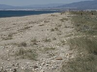 E, Almeria, Nijar, Cabo de Gata 19, Saxifraga-Jan van der Straaten