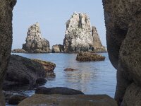 E, Cantabria, Liencres, Punta del Pino 23, Saxifraga-Willem van Kruijsbergen