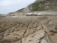 E, Cantabria, Miengo, Playa de los Caballos 39, Saxifraga-Willem van Kruijsbergen