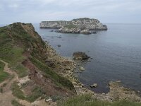 E, Cantabria, Miengo, Punta del Cuerno 3, Saxifraga-Willem van Kruijsbergen