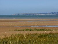 F, Manche, Sainte-Marie-du Mont, Domaine de Beauguillot 1, Saxifraga-Foto Fitis-Sytske Dijksen