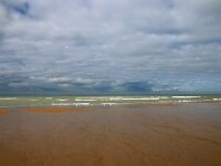 F, Pas-de-Calais, Escalles, Cap Blanc Nez 16, Saxifraga-Foto Fitis-Sytske Dijksen