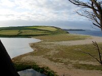 GB, Cornwall, Sithney, Looe 1, Saxifraga-Foto Fitis- Sytske Dijksen